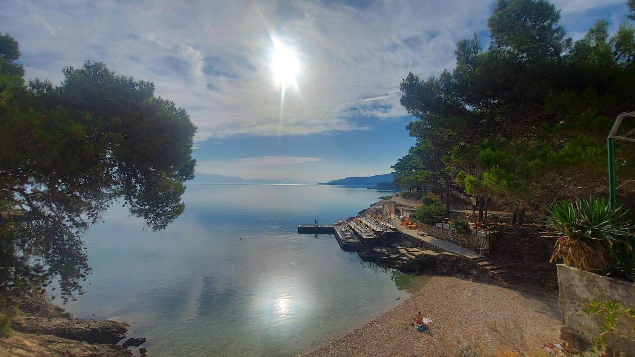 Niko * Jelsa (Hvar)